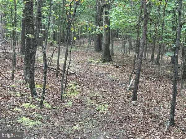 Ridgeley, WV 26753,152 ACRES OFF PLUM RUN ROAD