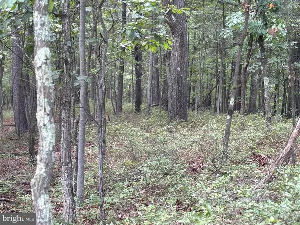 Ridgeley, WV 26753,152 ACRES OFF PLUM RUN ROAD