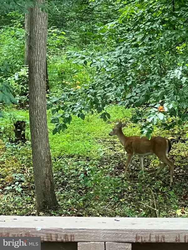 Newark, DE 19702,15 CHRISTINA WOODS CT