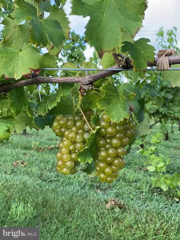 Moneta, VA 24121,3061 HENDRICKS STORE RD