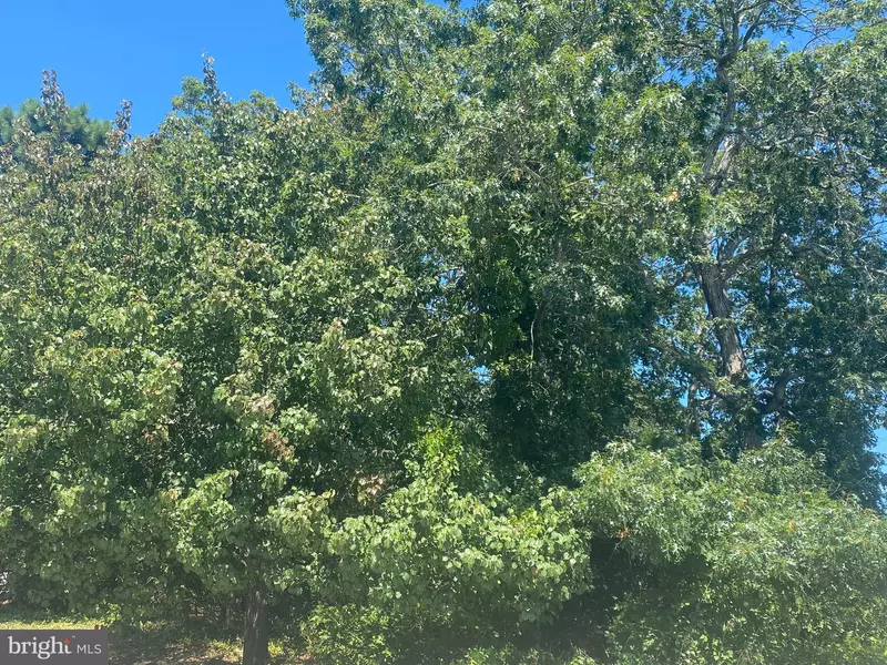 2018 BREAKERS DR, Barnegat, NJ 08005