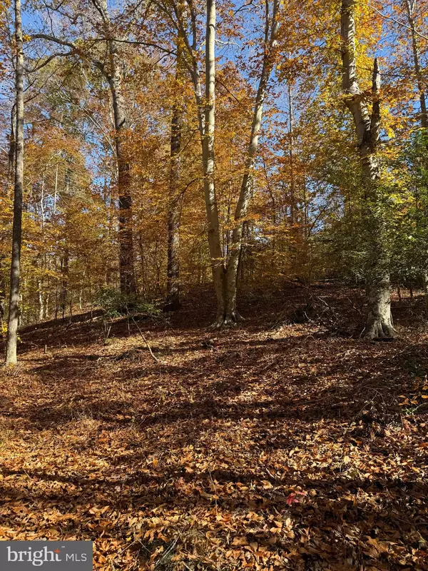 Charlotte Hall, MD 20622,0 OLD SYCAMORE RD