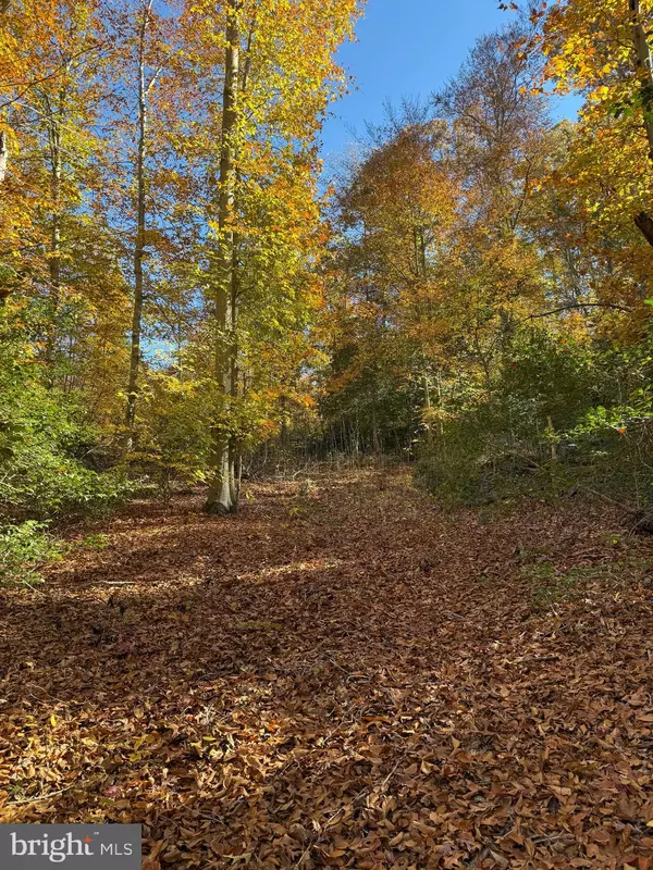 Charlotte Hall, MD 20622,0 OLD SYCAMORE RD