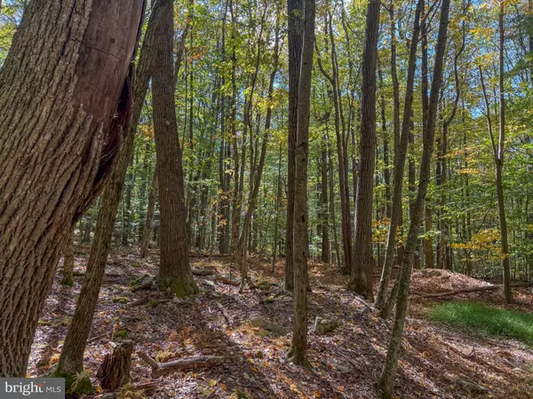 Oakland, MD 21550,9 TIMBER FALLS RD