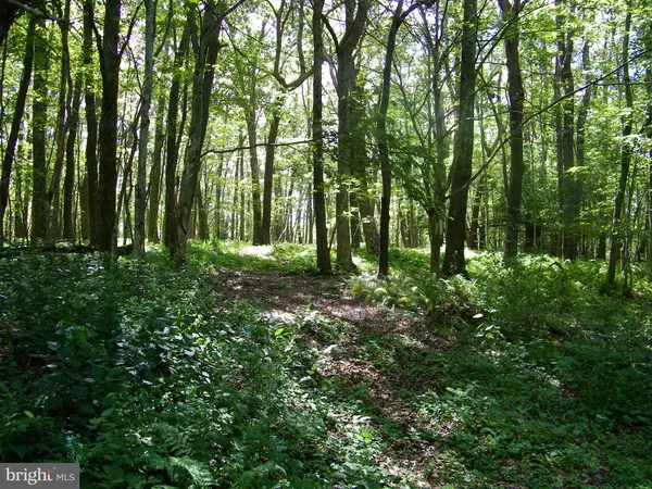 Oakland, MD 21550,LONGVIEW LN