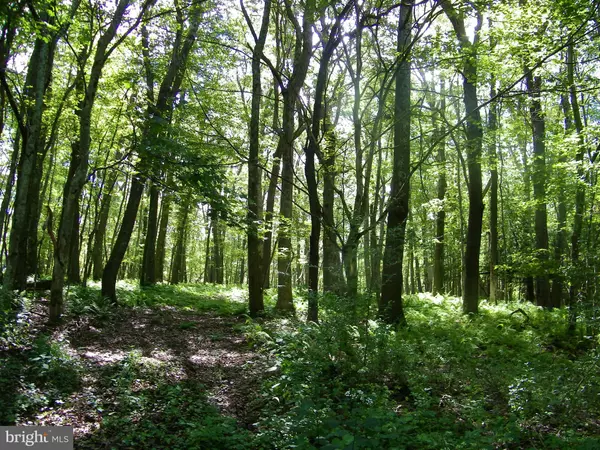 LONGVIEW LN, Oakland, MD 21550