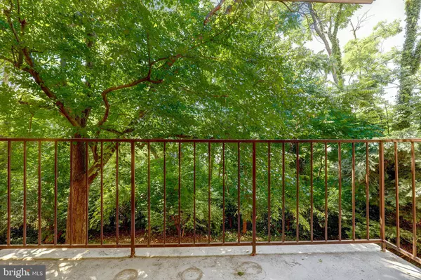 Alexandria, VA 22312,6250 EDSALL RD #203