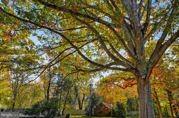 Edgewater, MD 21037,385 MILL SWAMP RD