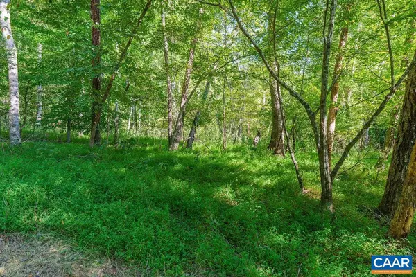 Troy, VA 22974,TBD RIVANNA RDG
