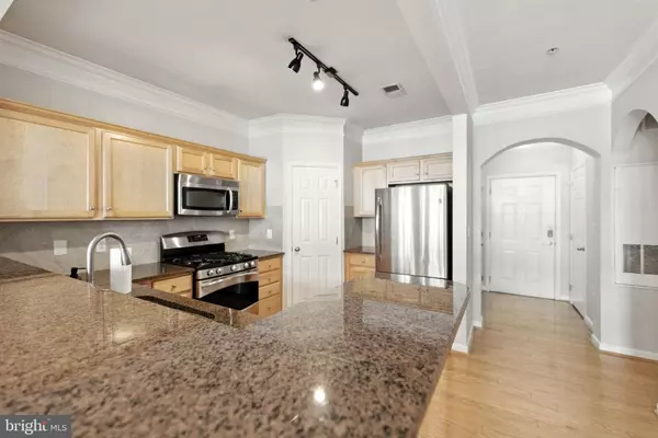 Leesburg, VA 20175,501 SUNSET VIEW TER SE #306