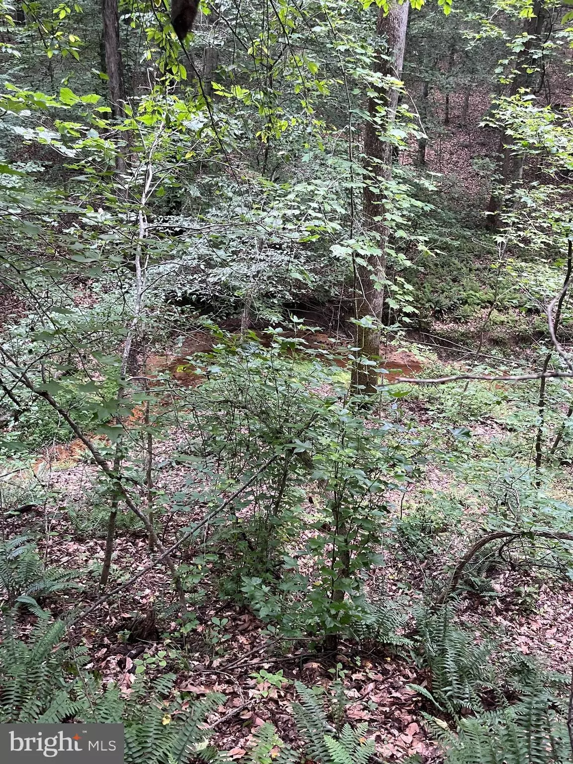 King George, VA 22485,LOT 27 SALEM CHURCH RD