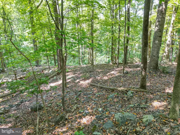Front Royal, VA 22630,LOT 26 MASSANUTTEN MOUNTAIN DR