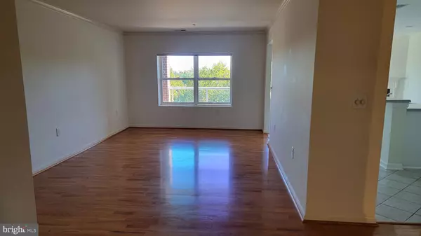 Lutherville Timonium, MD 21093,12240 ROUNDWOOD RD #604