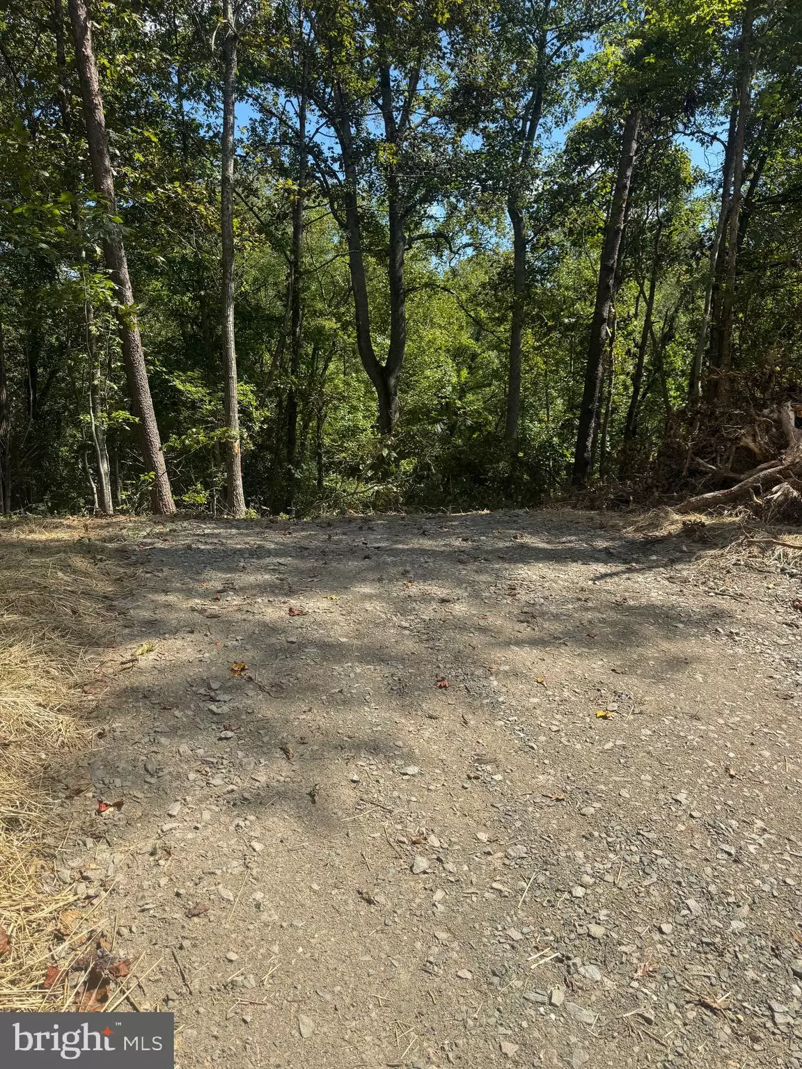 Marshall, VA 20115,VACANT LAND CABIN BRANCH ROAD