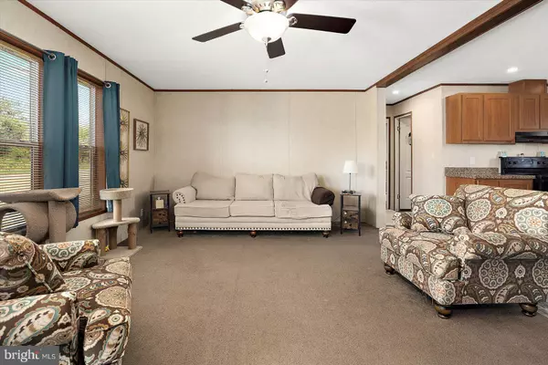 Selbyville, DE 19975,38259 DIRT LN