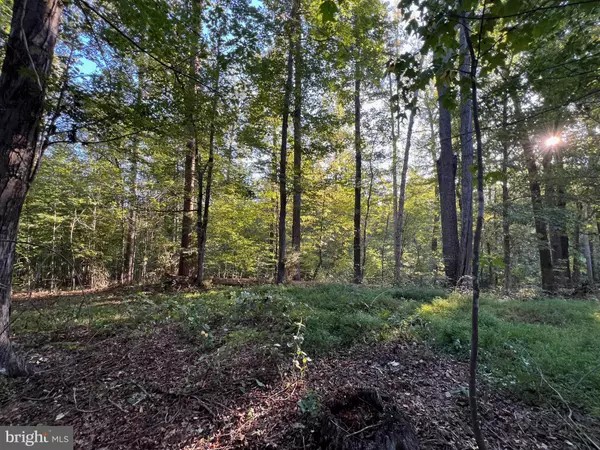 Reva, VA 22735,14285 WOODS VIEW LN