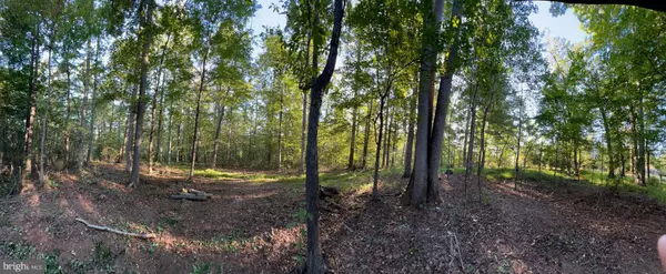 Reva, VA 22735,14285 WOODS VIEW LN