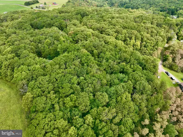 Accident, MD 21520,FERNWOOD DR