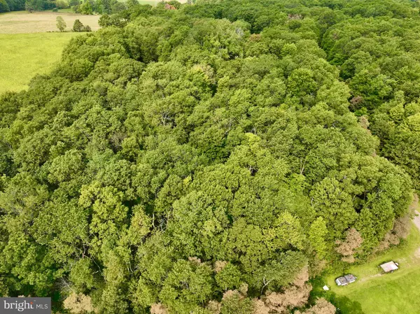 Accident, MD 21520,FERNWOOD DR