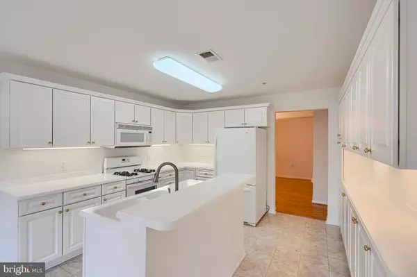 Lutherville Timonium, MD 21093,12246 ROUNDWOOD RD #304