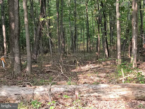 Haymarket, VA 20169,4169 MOUNTAIN RD