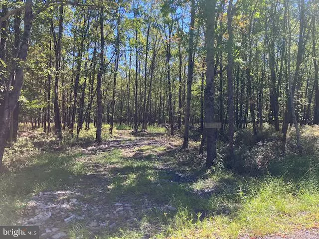 2546 PAWNEE TRL, Albrightsville, PA 18210