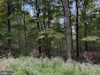 CUBBY HOLE LANE - LOT 25, Berkeley Springs, WV 25411