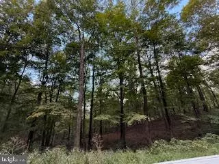 Berkeley Springs, WV 25411,CUBBY HOLE LANE - LOT 25