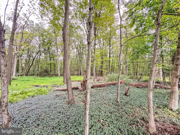 Lehighton, PA 18235,0 PINE HOLLOW