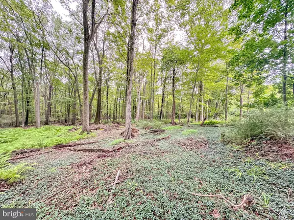 0 PINE HOLLOW, Lehighton, PA 18235