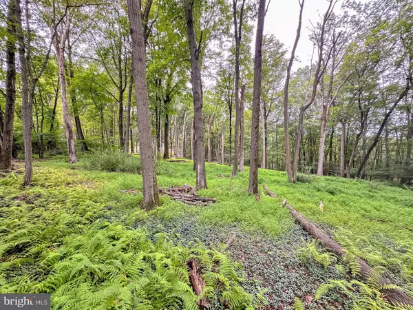 Lehighton, PA 18235,0 PINE HOLLOW