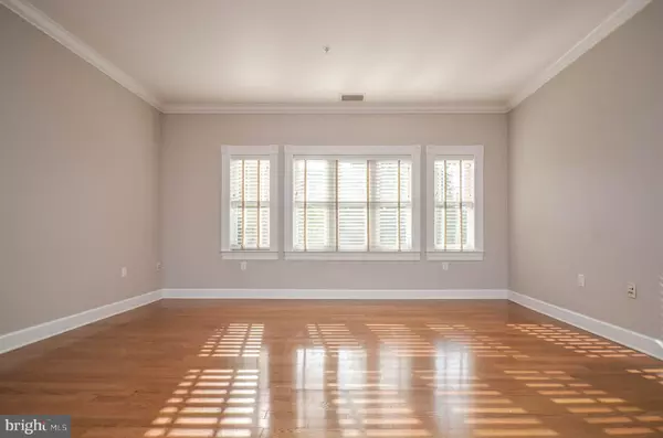 Washington, DC 20002,401 13TH ST NE #203