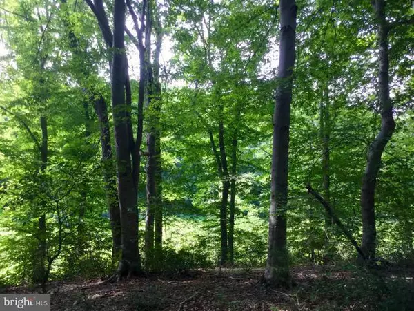 King George, VA 22485,CANTERBURY LOOP