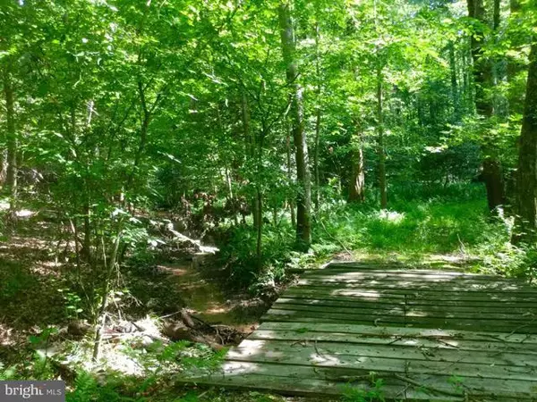 King George, VA 22485,CANTERBURY LOOP