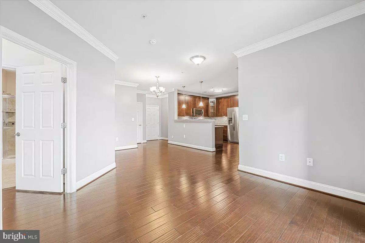 Silver Spring, MD 20906,3911 DOC BERLIN DR #14