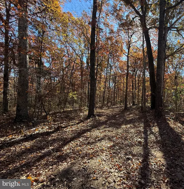 Locust Grove, VA 22508,11400 RAILROAD LN