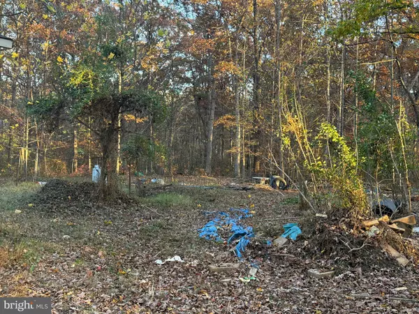 Locust Grove, VA 22508,11400 RAILROAD LN