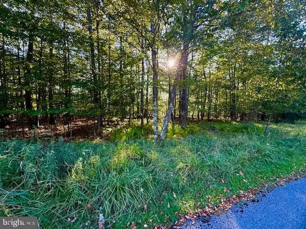 Mc Henry, MD 21541,60 SUNDANCE WAY