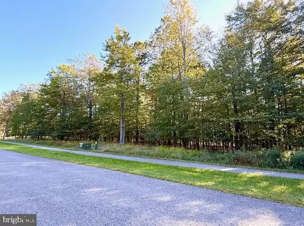 Mc Henry, MD 21541,60 SUNDANCE WAY