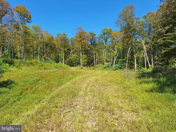 Hyndman, PA 15545,TIGER VALLEY RD