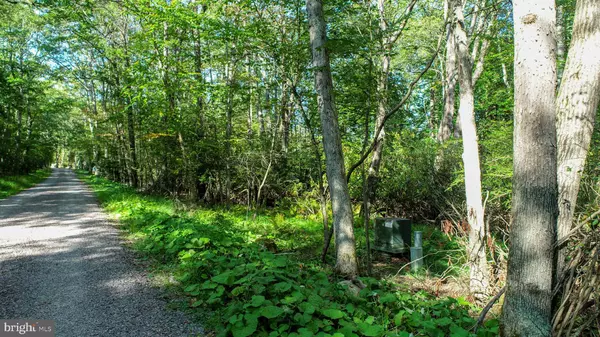 Mc Henry, MD 21541,LIMPOPO LN