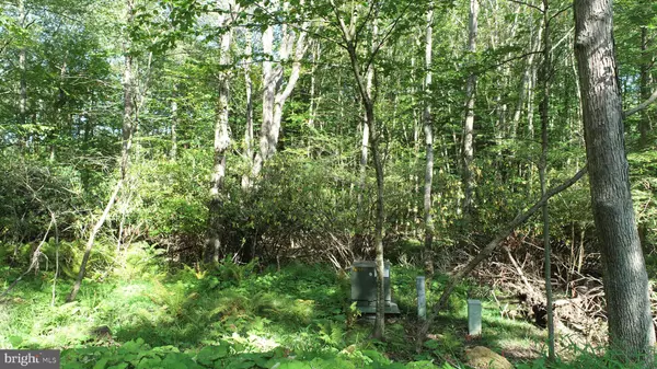 Mc Henry, MD 21541,LIMPOPO LN