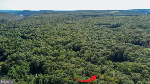 Mc Henry, MD 21541,LIMPOPO LN