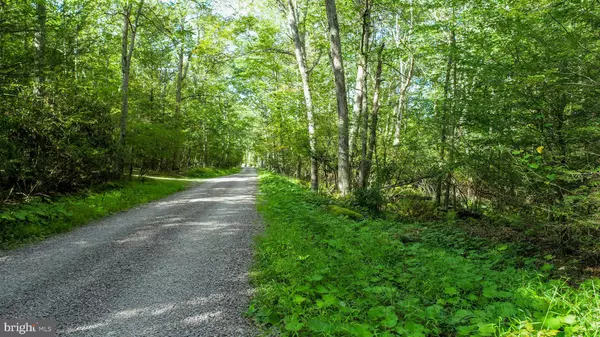 Mc Henry, MD 21541,LIMPOPO LN