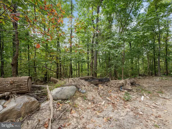 Harpers Ferry, WV 25425,LOT 17 MILL STONE RUN