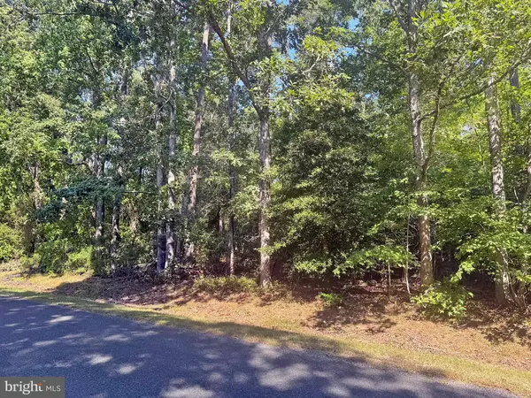 Greenbackville, VA 23356,LOT 1976 MAYFLOWER DR
