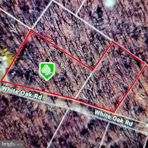 0 WHITE OAK RD, Luray, VA 22835