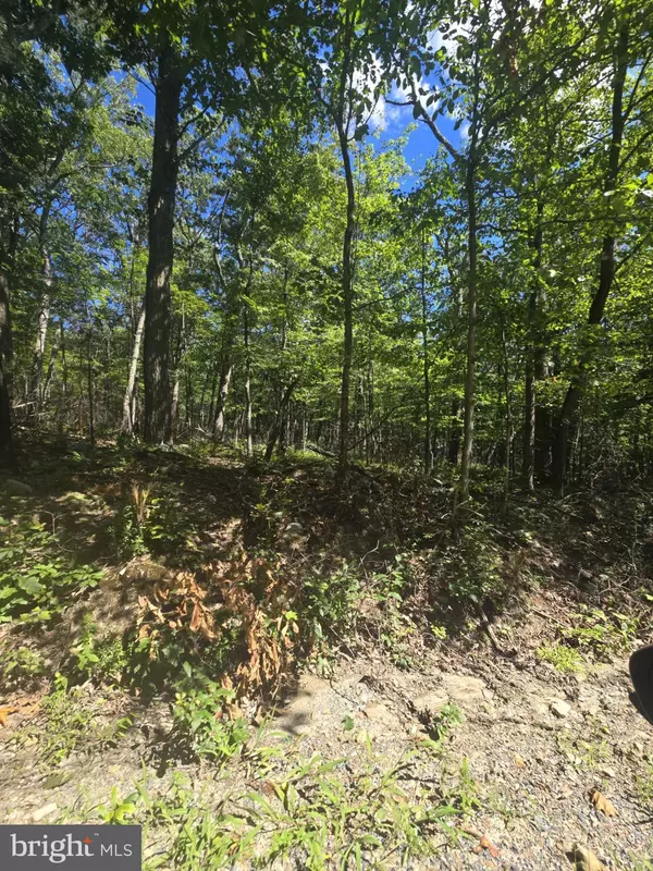 Luray, VA 22835,0 WHITE OAK RD