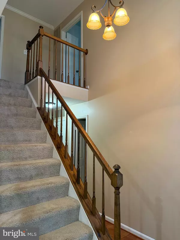 Woodbridge, VA 22192,3869 APPALOOSA DR