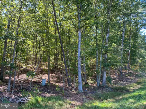 Locust Grove, VA 22508,CONSTITUTION HWY